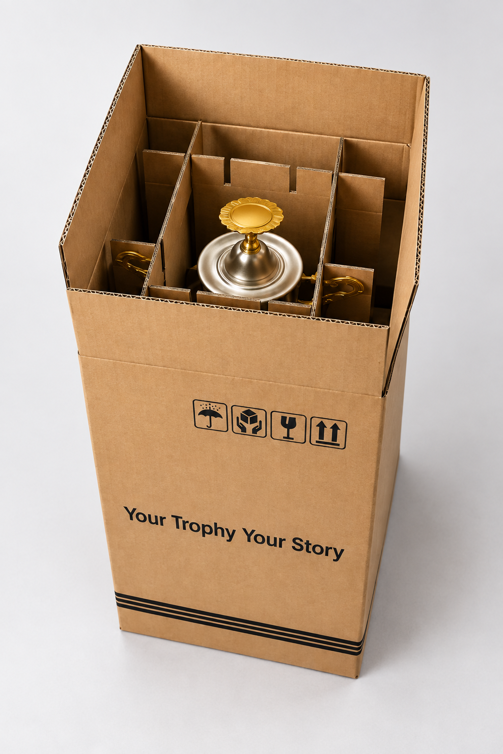 Illustrative WS protective carton with fitted cardboard dividers holding a trophy inside