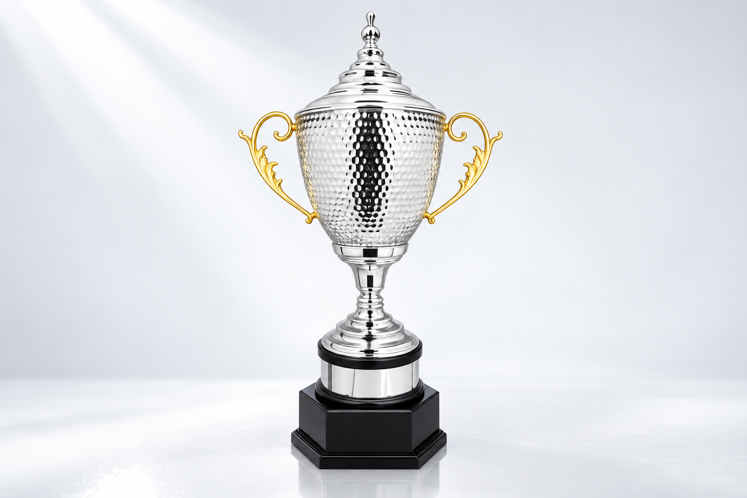 WS 6239 Championship Cup studio visualisation