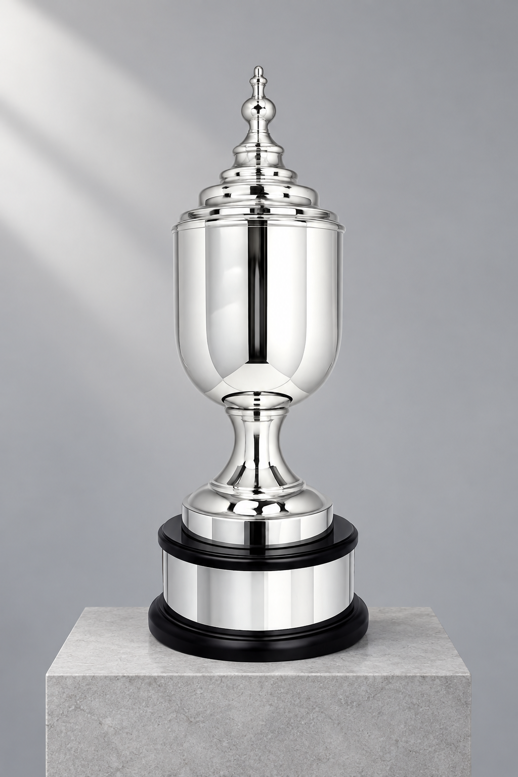 WS 6243 finished silver trophy studio visualisation